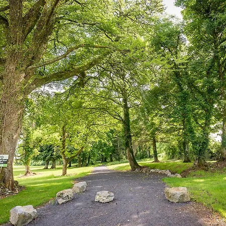 Breaffy Woods Castlebar